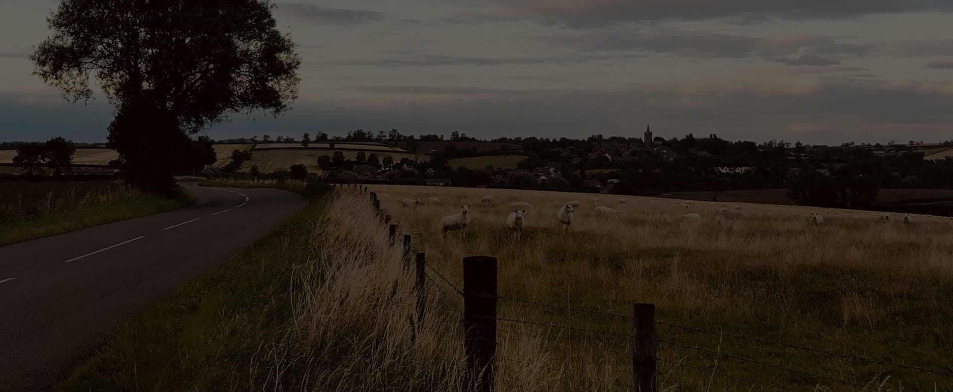 field sky tress leicester destination