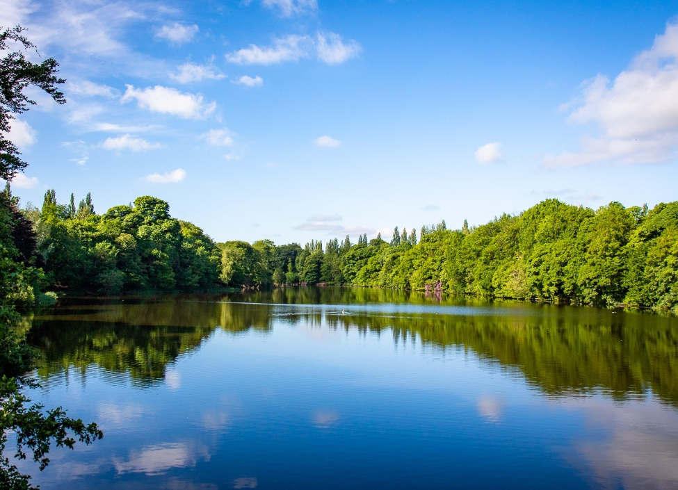 A lake, Lymm Dam in Warrington, reflecting the sky with trees surrounding